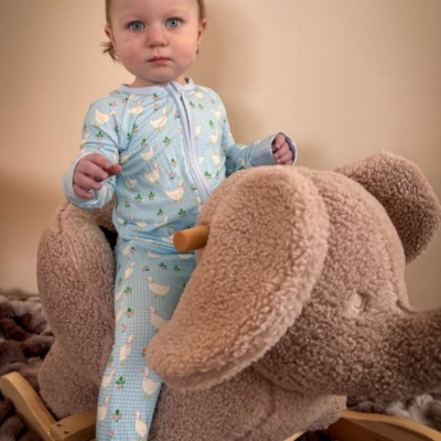 Silly Goose Bamboo Zippy Romper | Gingham Vintage Blue